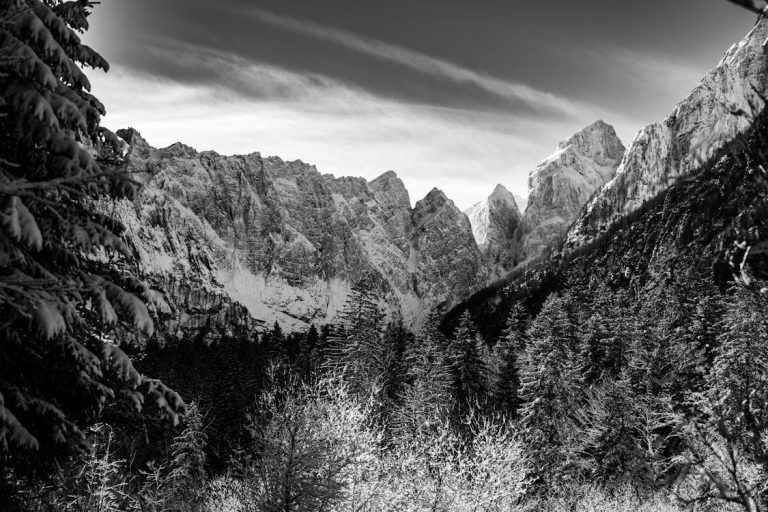 Planica po covidu-19
